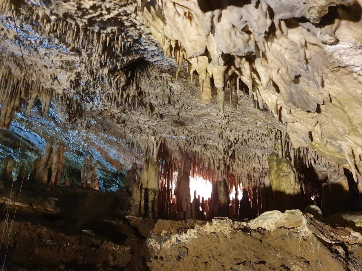 Gite La Petite Ourse - Gite De Charme Citadin Andenne Dış mekan fotoğraf